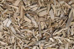 biomass boilers Newmachar